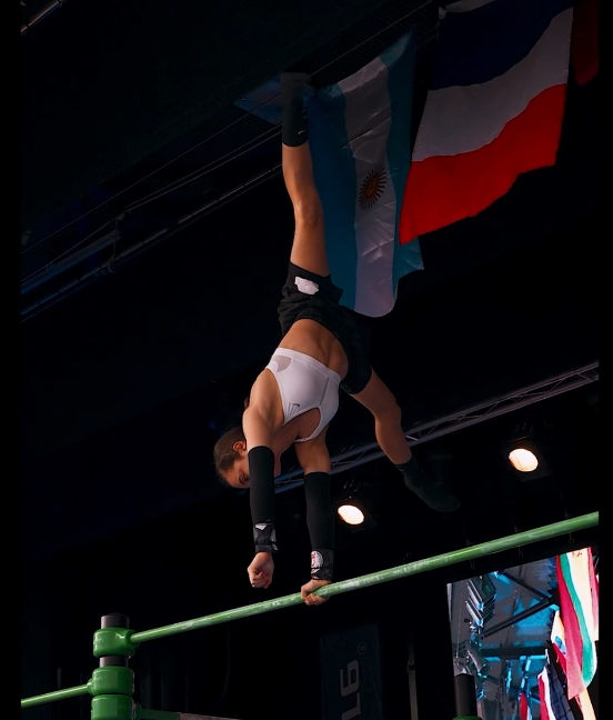 imagen_2025-11-07_161729792